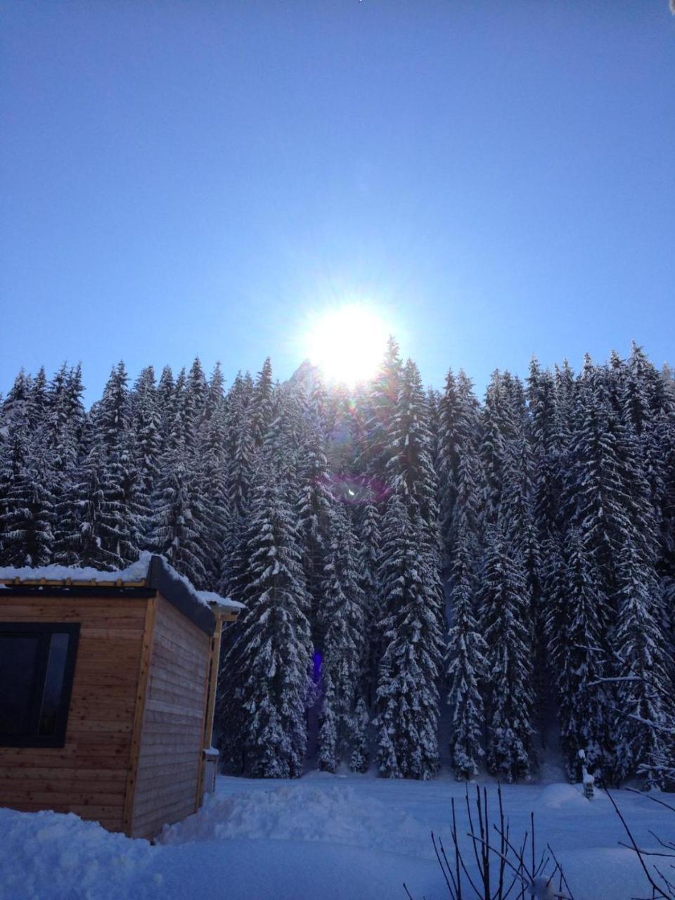Eirl Dolomites Retreat Sappada Bed & Breakfast Exterior foto